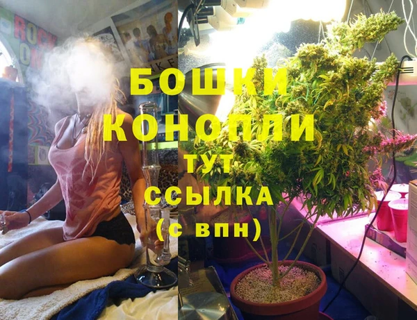 Альфа ПВП Верея