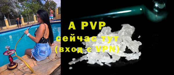 Альфа ПВП Верея