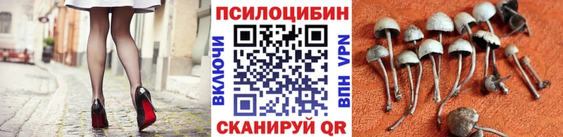 Псилоцибиновые грибы мицелий  Купить закладки  Макаров 